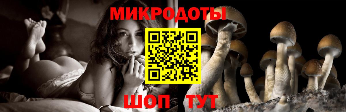 Галлюциногенные грибы Psilocybine cubensis  Вход с VPN  Клин 